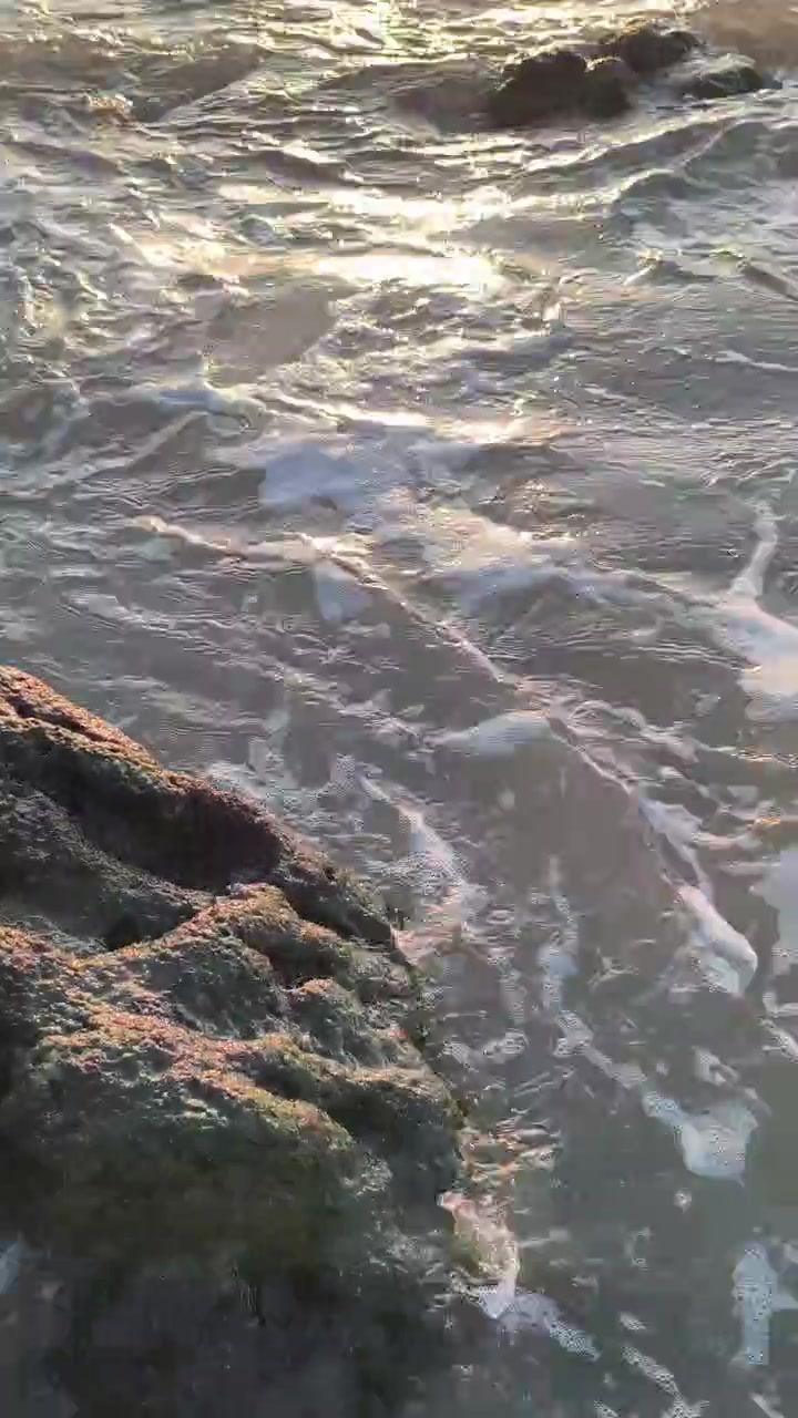 Gentle Ocean Waves Washing Over Mossy Rocks at Sunset