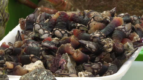 freshly caught cockles at a seafood market