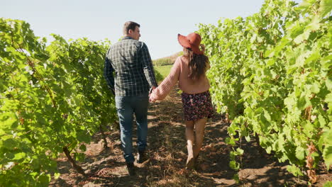 una pareja caucásica caminando en el viñedo tomados de la mano.