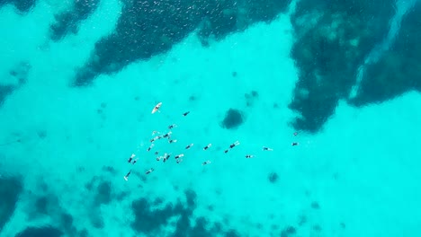 Eine-Große-Gruppe-Von-Schnorchlern-Treibt-über-Die-Tropisch-Gefärbten-Gewässer-Des-Great-Barrier-Reef-In-Australien