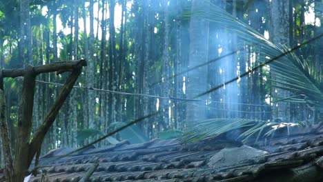 smoke rises from the chimney of a typical rural house in asia