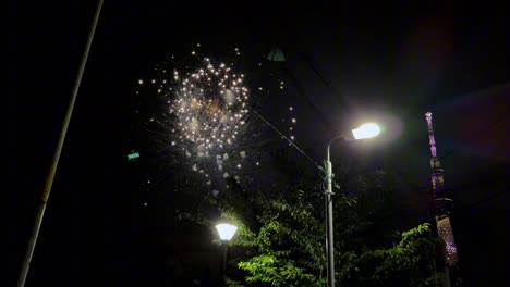 fireworks illuminate the night sky near a streetlight and a tall, lit-up tower