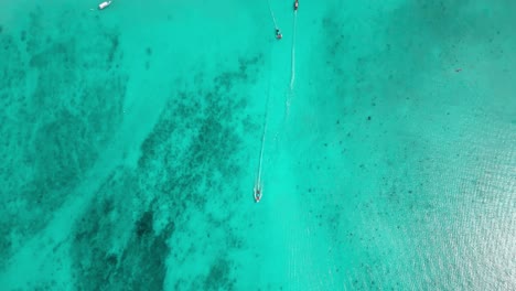 escena aerea del mar