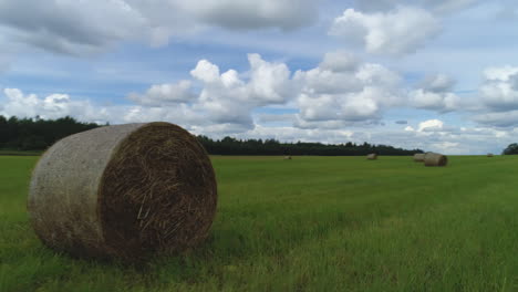 hay bales in a green field