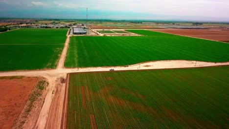 panorámica vista aérea de extensas tierras de cultivo. 4k