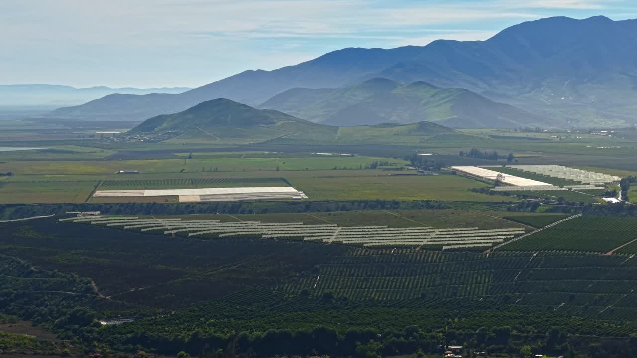 Aerial view of grape plantations protected with netting for Chilean pisco, lush mountains in the Limarí Valley on a sunny day, northern Chile
