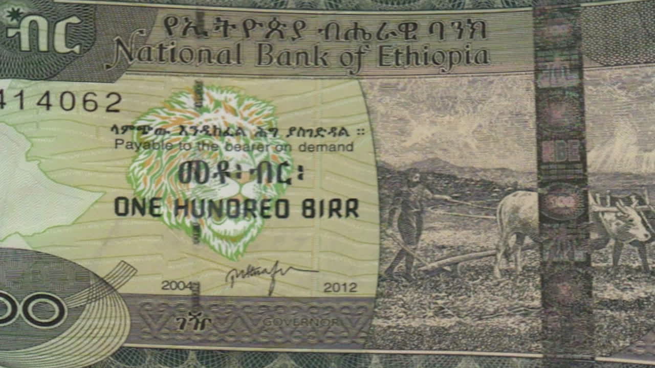 Ethiopian One Hundred Birr Banknote on Green Screen