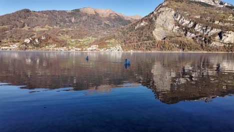 swans on walensee lake walen switzerland mountains backdrop water reflection swiss alpine