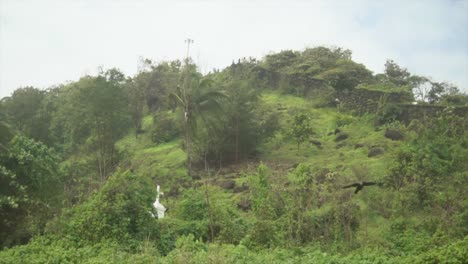 rural hill top in the wild