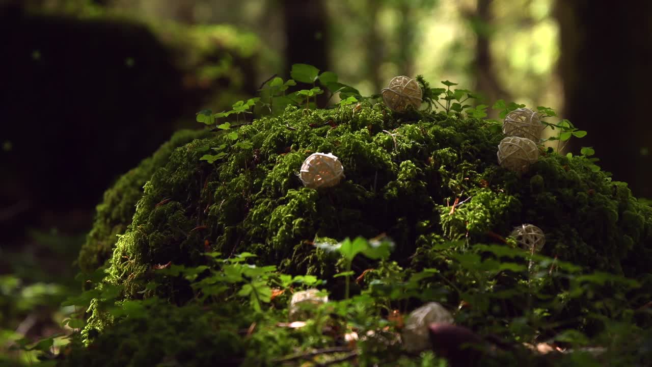 bosque mágico con un hada amarilla que brilla intensamente volando sobre musgo verde brillante y algunas hierbas pequeñas, con bolas de madera, con el bosque al fondo, en un día ventoso y soleado