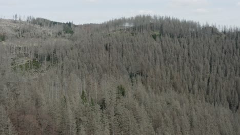 drone aerial views of the harz national park in central germany