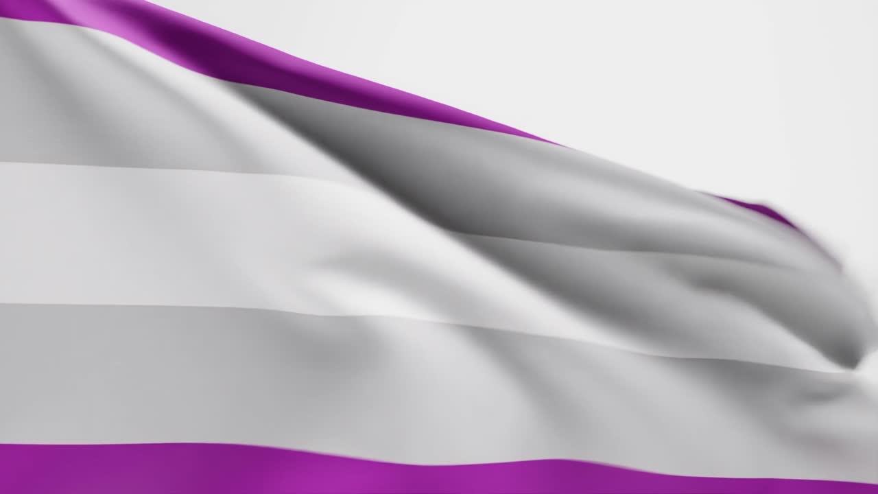bandera del orgullo sexual gris ondeando contra un fondo blanco, animación en 3d