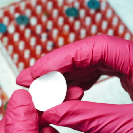 Cornea, the outer, transparent structure of plastic eye in hands. Technician holds artificial eye prosthesis in the laboratory.