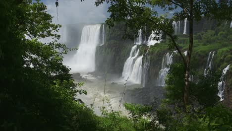 amazing picturesque jungle landscape and beautiful waterfalls in rainforest nature landscape, beautiful trees and green scenery with large group of huge waterfalls in iguazu, brazil