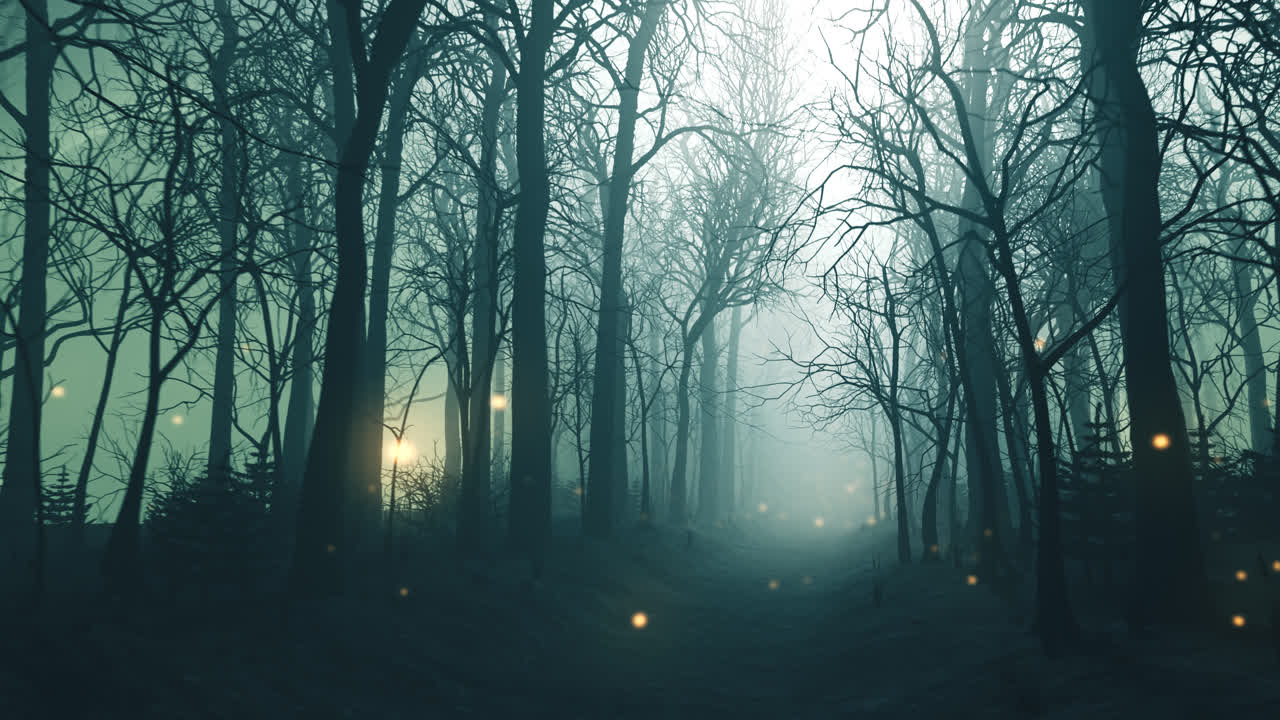 Seamless Looping Animation Of Glowing Fireflies In The Forest Alley ...