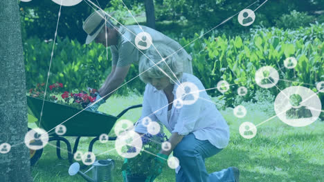 network of profile icons against caucasian senior couple gardening together in the garden