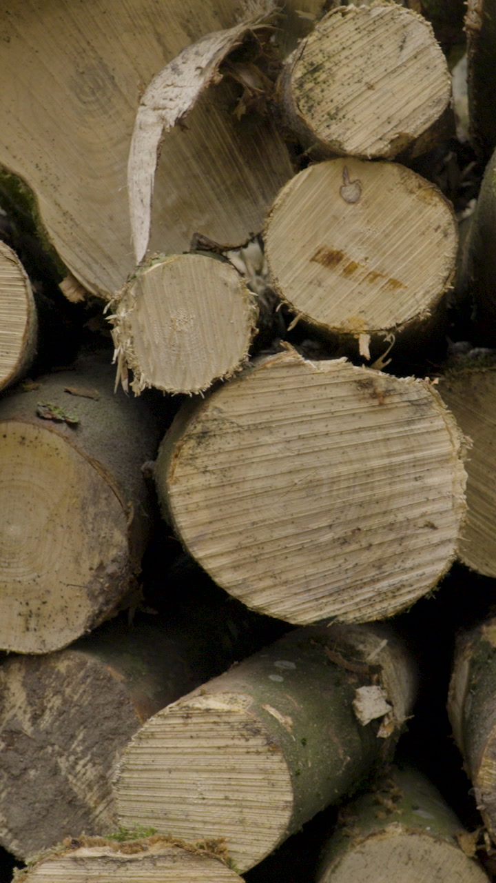 A detailed vertical shot of stacked timber logs showing wood grain and texture. Ideal for forestry, renewable energy, and environmental themes.