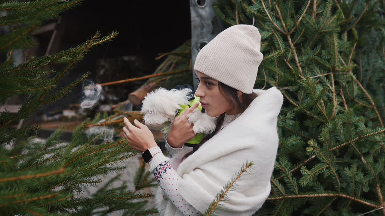 여자 는 개 와 함께 크리스마스 트리 를 선택 하고 있다