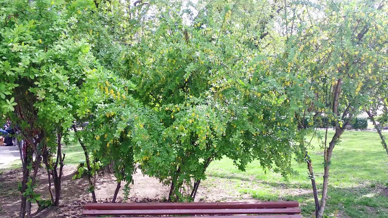banco vacío en el parque de la ciudad