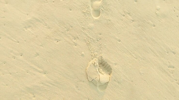 Vista a volo d'uccello, ripresa in avanti al rallentatore che segue le impronte di piedi nudi su una spiaggia incontaminata e pianeggiante