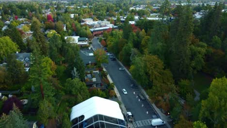 us, oregon, ashland - drone shot of lithia park, flying north towards downtown