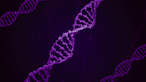 Makroanimation-Eines-Violetten-3D-DNA-Strangs,-Der-Sich-Dreht