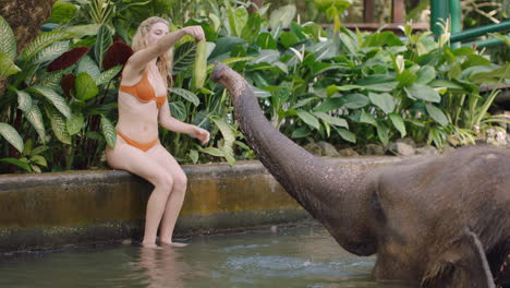 Schöne-Frau-Füttert-Elefanten-Im-Zoo,-Spielt-Im-Pool-Und-Spritzt-Wasser.-Touristin-Hat-Spaß-Bei-Einem-Exotischen-Urlaub-Im-Tropischen-Waldschutzgebiet