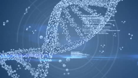 dna helix with codes