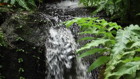 small waterfall in a garden setting
