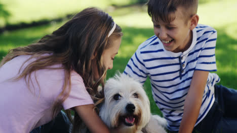 hermanos jugando con su perro en el parque