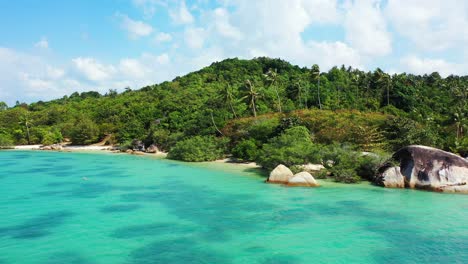 tropical wild island with palms surrounded by turquoise sea water