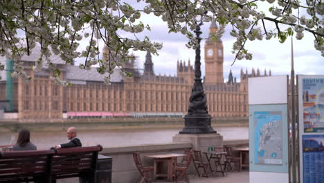 london, spring, houses of parliament from albert embankment