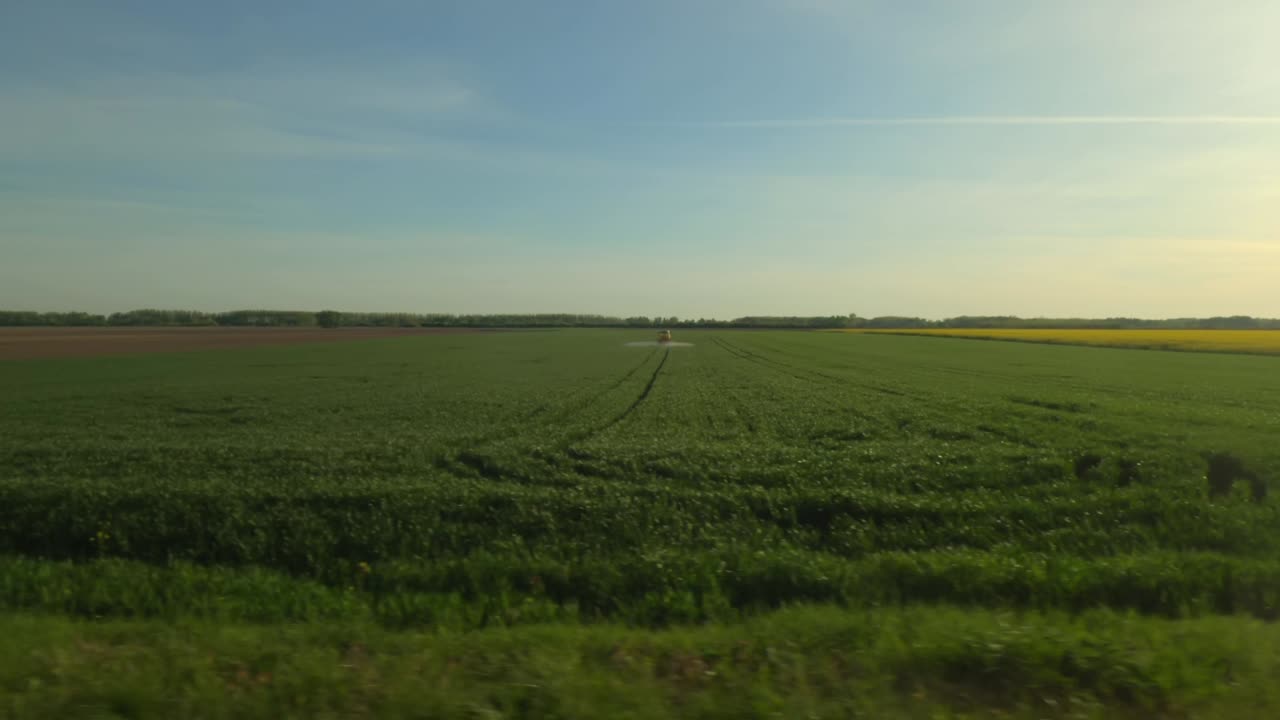Driving through countryside and cultivated fields of canola in spring sunset, side view