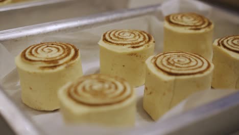 Cinnamon-Roll-Placed-On-Baking-Tray-With-Parchment-Paper-For-Baking