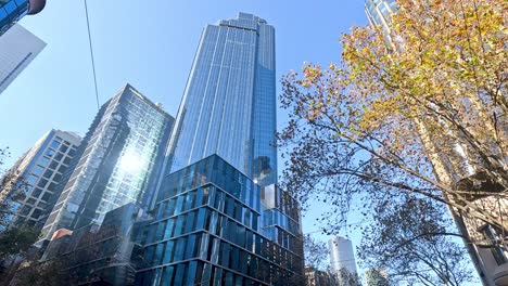 busy intersection with tall buildings and trees