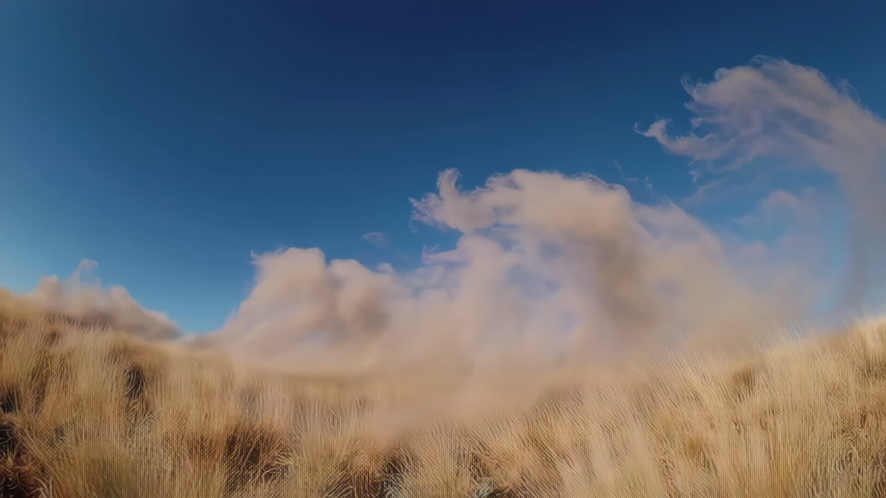 Dust Clouds in a Grassy Landscape
