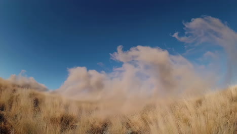 dust clouds in a grassy landscape
