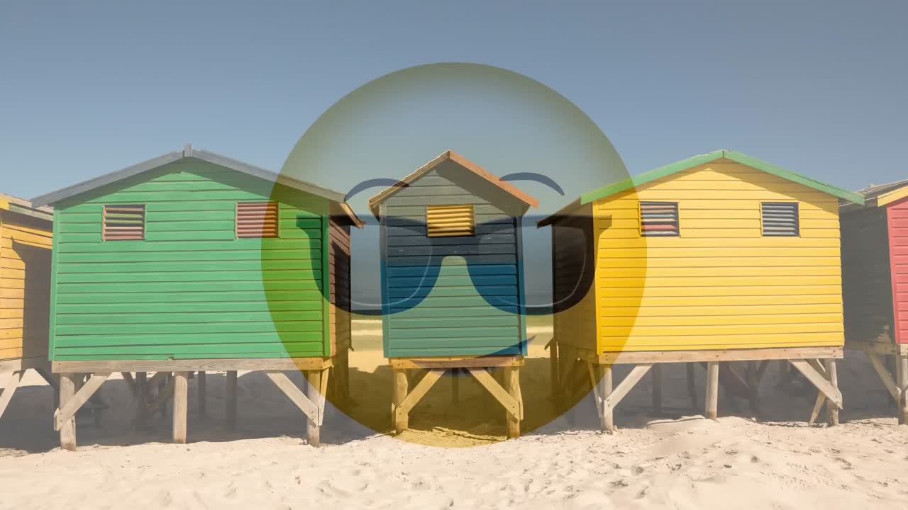 스마일리 비디오