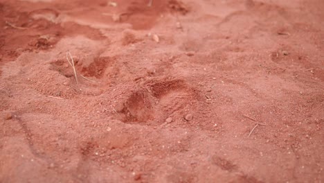 close-up of red sand texture