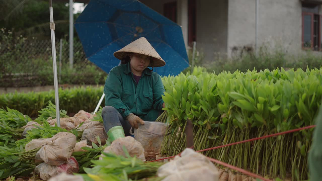 Woman Farmer Working in a Plant Nursery