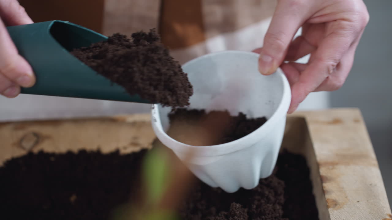 Close up of hand scooping rich dark potting soil from wooden crate into matte white plastic bucket using teal scoop, focus on gardening prep in indoor setting under soft natural light