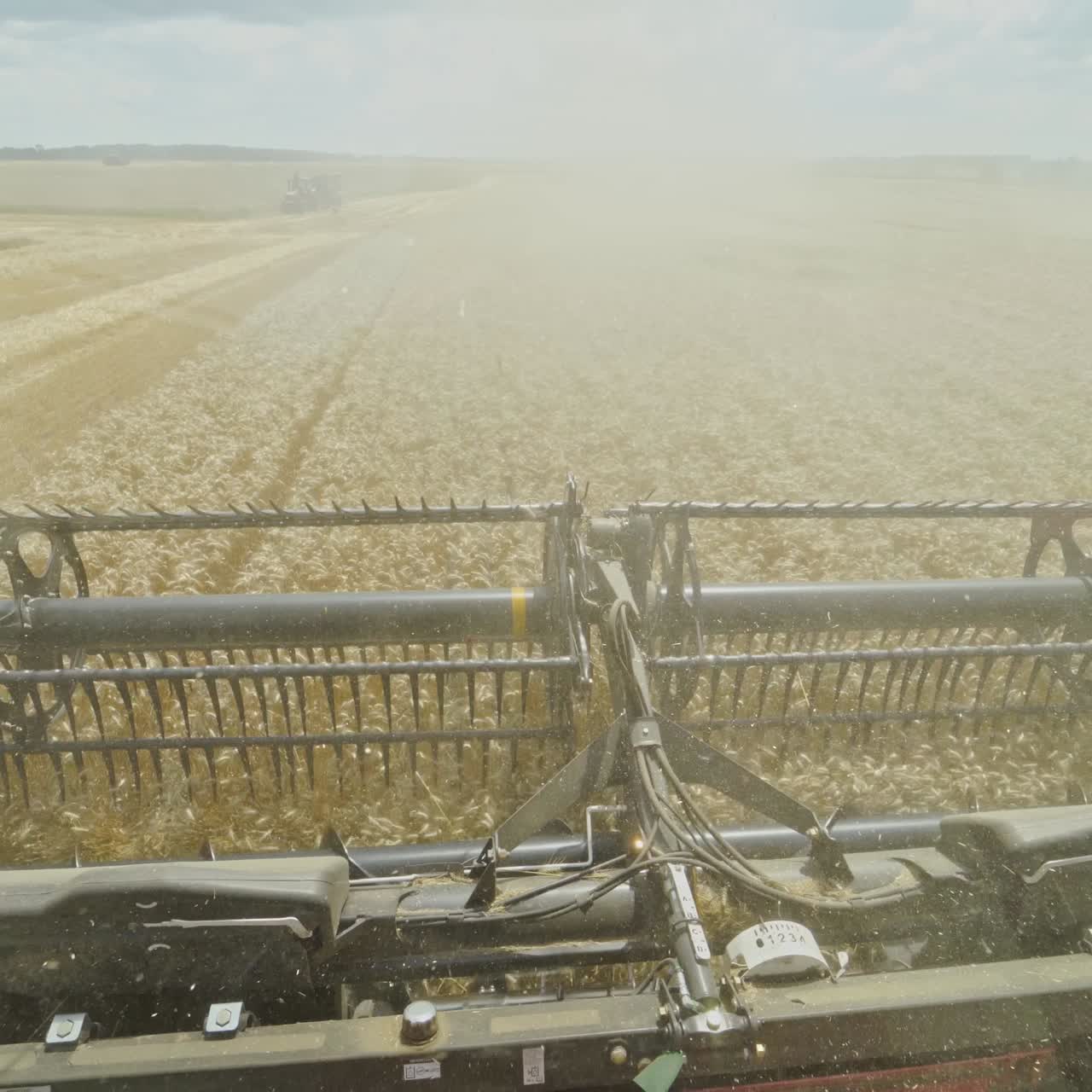 Agricultural harvester machine