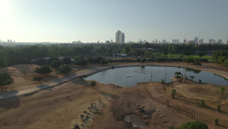 una vista aérea del safari de ramat gan cuando está vacío de visitantes y los animales no son acosados