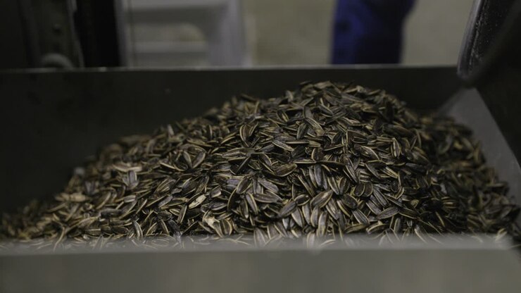 Close up shot of a spinning machine mixing sunflower seed and falling in a container