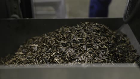 close up shot of a spinning machine mixing sunflower seed and falling in a container