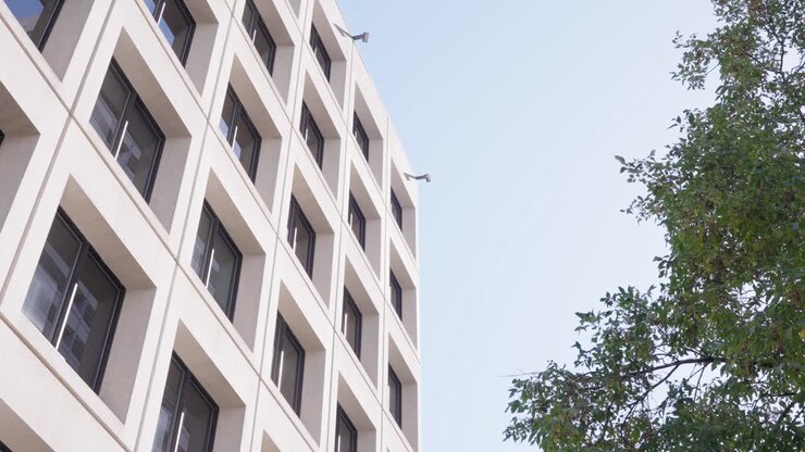Static shot of modern grey office building with symmetrical windows and waving tree