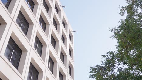 static shot of modern grey office building with symmetrical windows and waving tree