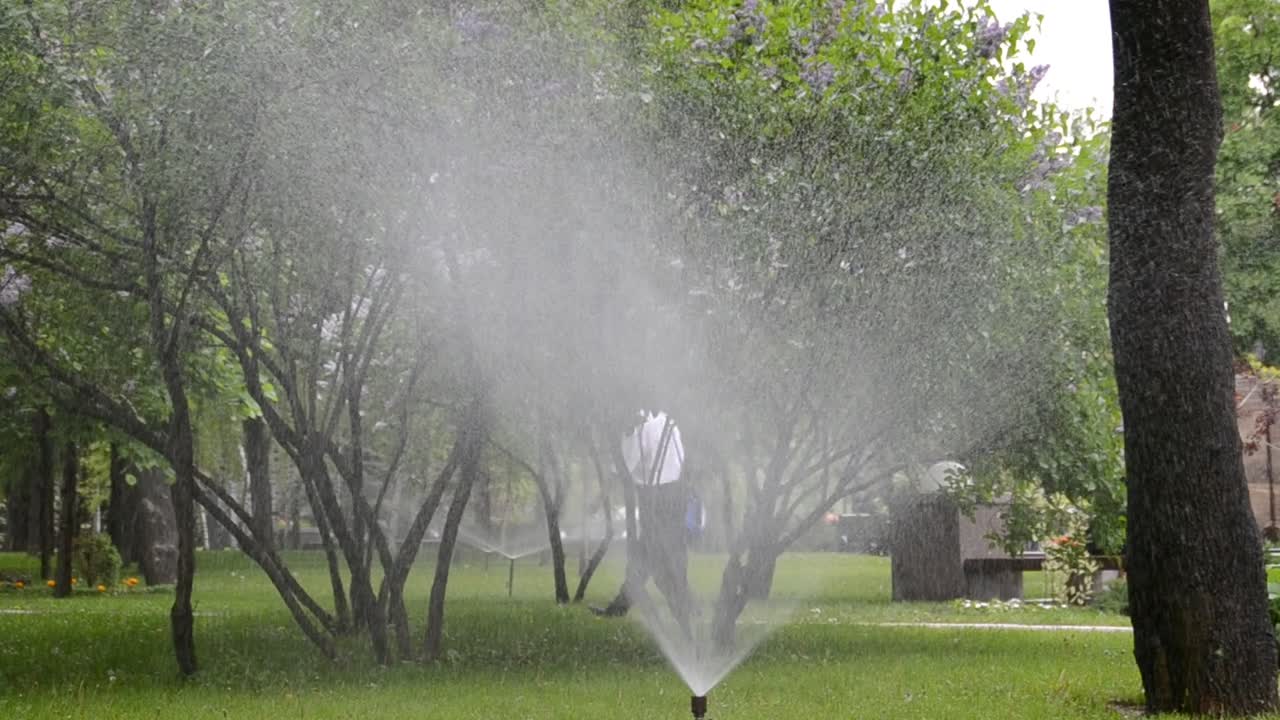 Irrigazione dell'erba