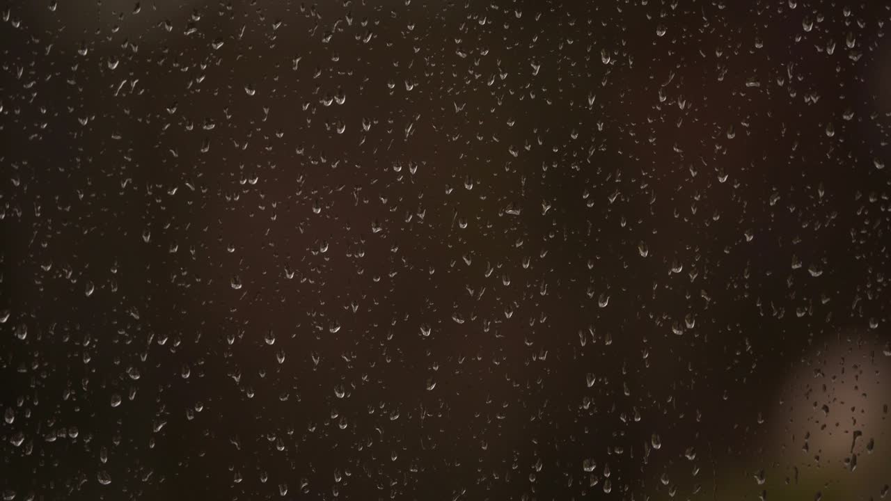 gotas de lluvia contra una ventana con una flor blanca moviéndose en el viento en el fondo