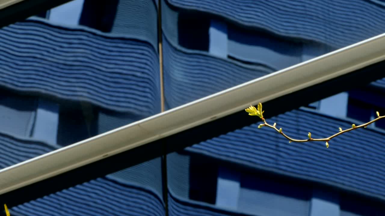 устойчивый город.